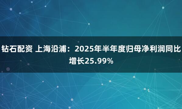 钻石配资 上海沿浦：2025年半年度归母净利润同比增长25.99%