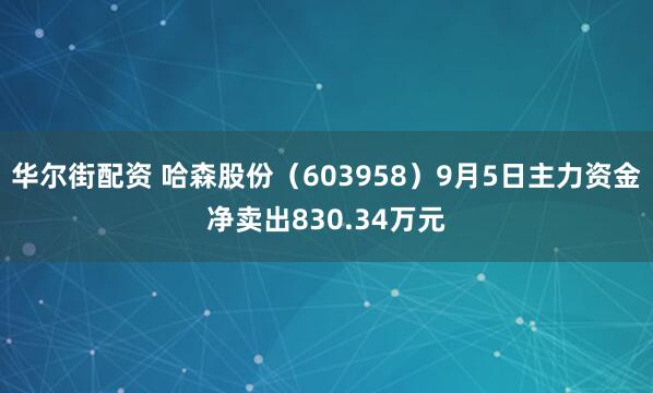华尔街配资 哈森股份（603958）9月5日主力资金净卖出830.34万元